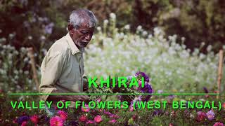 Khirai Valley of flowers West Bengal [upl. by Grote]