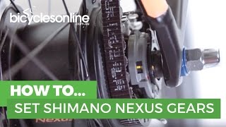 How to Set Shimano Nexus 8 Speed Gears [upl. by Eiramanad]