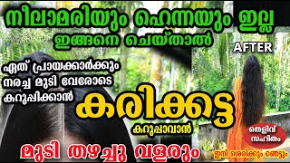 നീലമാരിയും ഹെന്ന പൊടിയും വേണ്ട നരച്ച മുടി ഇങ്ങനെ ചെയ്താൽ മതി poppy vlogsmalayalam [upl. by Ssilem]