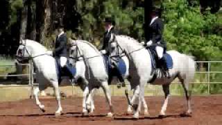 White Horse Vale Lipizzans  Slideshow [upl. by Maiocco27]