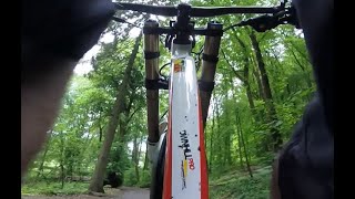 Haibike Downhill PRO 2016 Bosch CX im Wald Tag 2 3 [upl. by Tye]