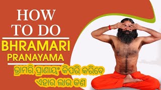 Benefits of bhramari Pranayam  humming bee breathing  boosting the nitric oxide [upl. by Anwahsak]