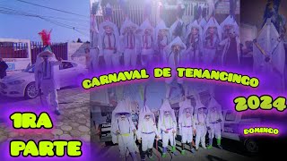 Carnaval de Tenancingo 2024 Domingo Toreros 1ra parte [upl. by Adnilemre102]