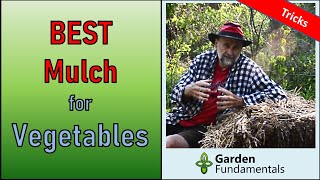 Best Mulch for Vegetable Gardens  And How To Apply It Correctly [upl. by Enelcaj]