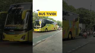 Bus Tividi Jogja  Jakarta shorts basuri bismania tranding [upl. by Liscomb]