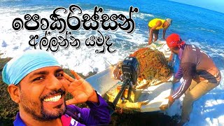 පොකිරිස්සන් දඩයම ‼ සිංගි දැල් යමුද ‼ Catching Lobsters ‼ wishwatiyubaya 🦞😲🎣 [upl. by Ritter]