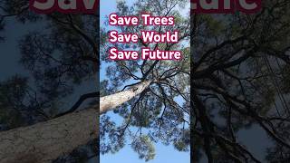 Save trees save world save future [upl. by Diraj575]