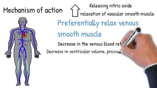 Nitroglycerin  antianginal drug indication adverse effects [upl. by Yeliac732]