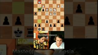 Mikhail Tals Unstoppable Triple Tactic bobbyfisher mikhailtal [upl. by Latsyrd]