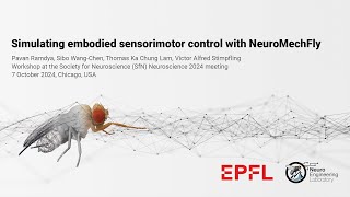 NeuroMechFly Workshop SFN 2024 [upl. by Attayek]