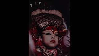 Kumari furfuri song lyricvideo fyp [upl. by Ettennyl]