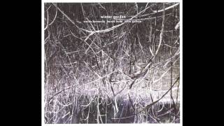 Harold Budd Robin Guthrie amp Eraldo Bernocchi  Winter Garden 2011 Full Album HQ [upl. by Oiratno]