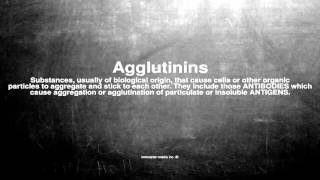 Medical vocabulary What does Agglutinins mean [upl. by Llerrej790]