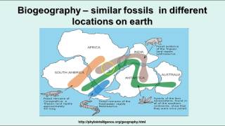 Evolution  Evidences of Evolution [upl. by Eads]