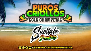 Puros Criollos Solo Champeta Sueltala Picotero  SueltalaPicotero [upl. by Aenneea]