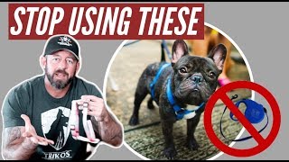 Stop using retractable leashes and harnesses on your dog [upl. by Ahsinod]