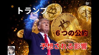 トランプ米大統領 ビットコイン関連の公約 予想される影響 [upl. by Andi52]