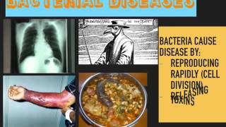 Communicable Diseases GCSE [upl. by Takeo]