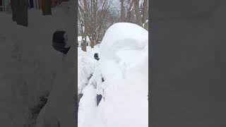 Disabled person shoveling snow [upl. by Ocer]