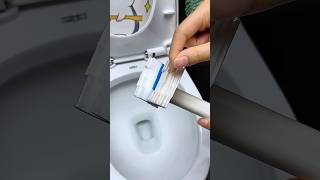 The flushable toilet brush can effectively avoid many small bacteriayoutubeshorts viralvideo [upl. by Honey]