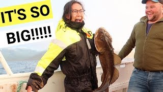 Catching BIG FISH in the ARCTIC CIRCLE FISHING IN NORWAY [upl. by On406]