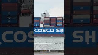 Cosco Container❤️Ship cargoship video shorts [upl. by Angie]