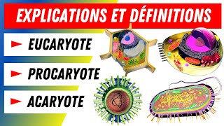 Eucaryotes Procaryotes Acaryotes Comment les distinguer [upl. by Nilecoj]