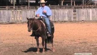 Horse trainer Rob Leach talks about teaching a horse to turn [upl. by Vashtee]