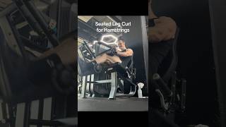 hamstrings Muscle SeatedLegCurl machine exercise legs hypertrophy strength tutorial How To gym [upl. by Ecinahs]