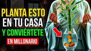 Estas 5 Plantas Atraen Mucho Dinero a Tu Casa  Enseñanzas Budistas [upl. by Chalmer]