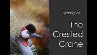 The Crested Crane Image [upl. by Reinhardt]