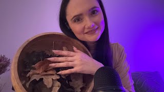 ASMR Leaf soup  Other Sleep amp Tingle Inducing Triggers [upl. by Latricia]