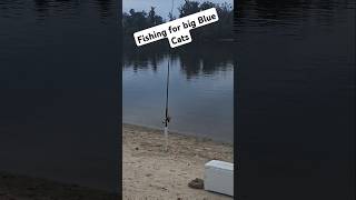 Fishing for big river Blue catfish STAY TUNED [upl. by Odnumyar]