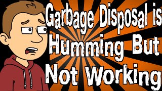 My Garbage Disposal is Humming But Not Working [upl. by Fricke]