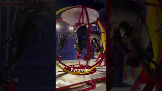 Fun Factory Park Gyro Spin Ride gyro lahore funfacts enjoy trending shortsviral fun [upl. by Gasser]