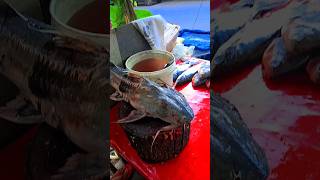 Big goch fish cutting  bagair fish  Delicious fish trending shortvideo bagair fish ytshort [upl. by Enimrej706]