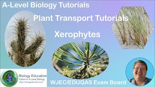 Adaptations of xerophytes tutorial AS Biology WJEC EDUQAS [upl. by Ylam347]