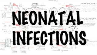 Neonatal Infections  Overview [upl. by Ardle272]