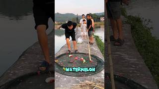 Fishing trap with a watermelon 🍉 😋 fishing fish nature [upl. by Nereus]