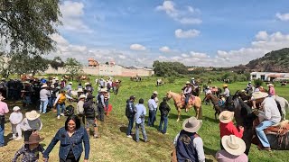 Tres Años de Cabalgata Una Nueva Tradición  Zolotepec [upl. by Nnaarat]