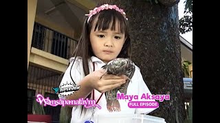 Wansapanataym Maya Aksaya Full Episode  YeY Superview [upl. by Fiertz]