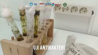 Proses Pembuatan Nanogel Ekstrak Daun GetihGetihan Rivina humilis UAD 2024 [upl. by Leiso615]