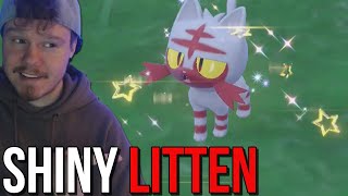 Live Shiny Litten The Indigo Disk • Pokemon Scarlet amp Violet [upl. by Feliza]