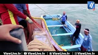 Mangaluru Dakke Bunder Fishing Harbour  Mangalore Fishing in Deep sea  Live Fishing [upl. by Aihtibat]