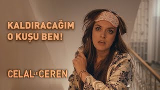 Kaldıracağım O Kuşu Ben  Celal İle Ceren [upl. by Aynatahs]