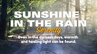 Soft Piano Music  Healing Tunes to Ease the Mind  Sunshine in the Rain [upl. by Deehsar]