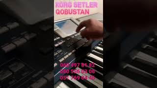 korg pa800 2025 azeribaijan set [upl. by Oirobil]