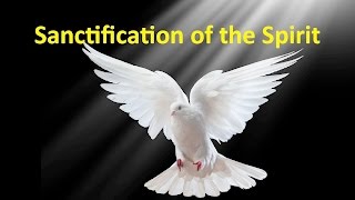 Sanctification of the Spirit  Faiths Foundations 14 [upl. by Iohk]