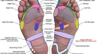 Reflexologia ¿Cuales son sus fundamentos [upl. by Devin]