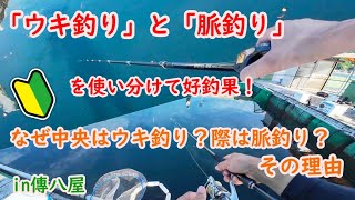 【海上釣堀：初心者向け】「ウキ釣り」と「脈釣り」を使い分けて好釣果！なぜ中央はウキ釣り？際は脈釣り？その理由とはin傳八屋でんぱちや [upl. by Grimbal]